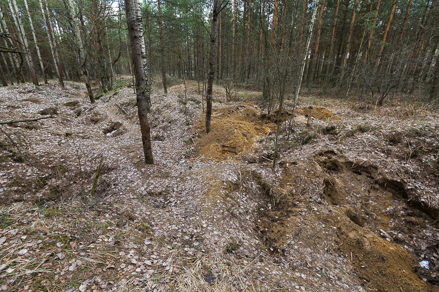 До сих пор на Невском пятачке находят останки непогребённых бойцов Красной армии и вермахта.