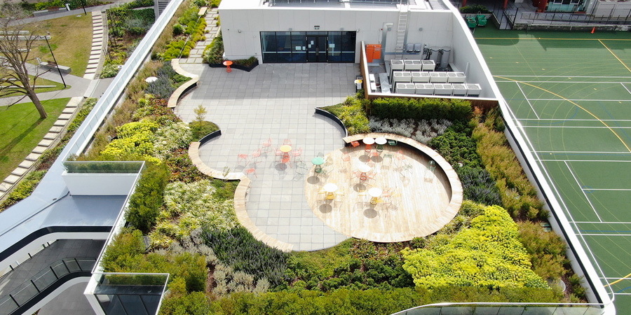 Лучший реализованный проект озеленения и ландшафтного дизайна Сад на крыше в Методистском женском колледже (Австралия, Мельбурн), Taylor Cullity Lethlean (TCL)