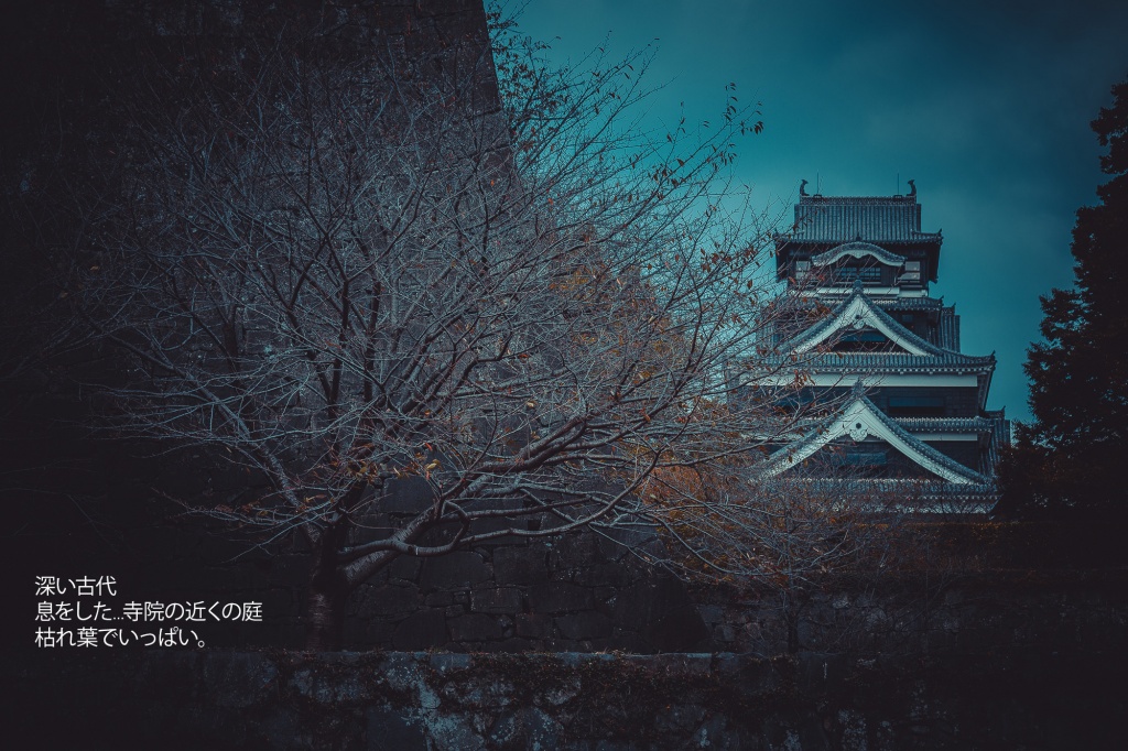 Глубокою стариной Повеяло… Сад возле храма Засыпан палым листом. © Александр Трофимов