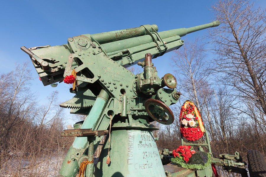 Зенитное орудие калибра 45 мм у памятника «Разорванное кольцо» на «Дороге жизни». Фото: © Александр Трофимов. 18 марта 2012 года.
