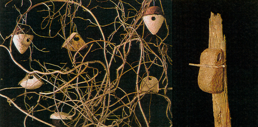 Домики для птиц, 1999 год